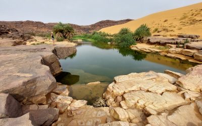 Mauritania. De Chinguitti a Noadibou por el Banc d’Arguin